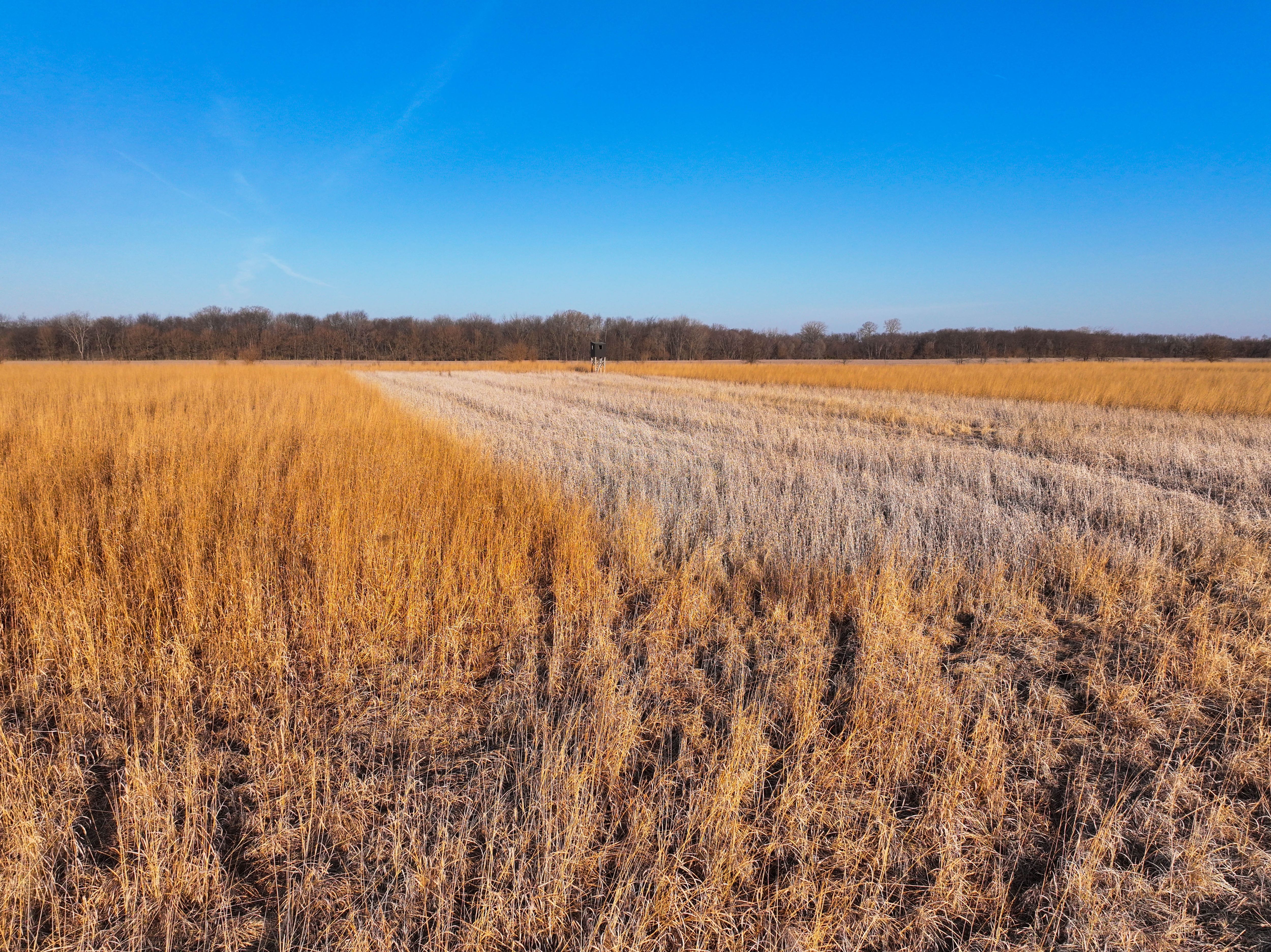 Listing Photo: Johnson County Recreational Farm For Sale-12